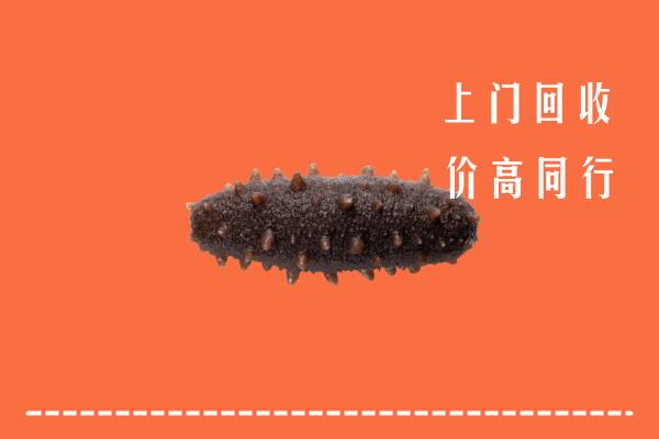 高价求购：武穴市回收海参