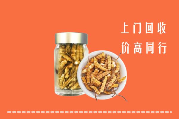武穴市回收冬虫夏草